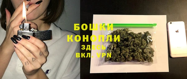 дживик Богородицк