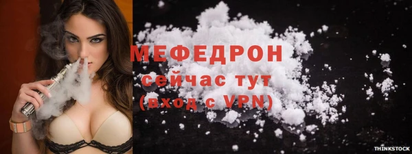 стаф Бородино