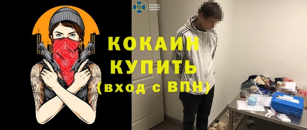 дживик Богородицк