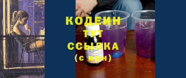дживик Богородицк