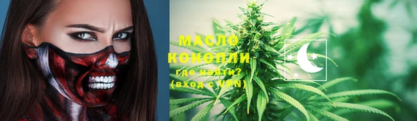 дживик Богородицк
