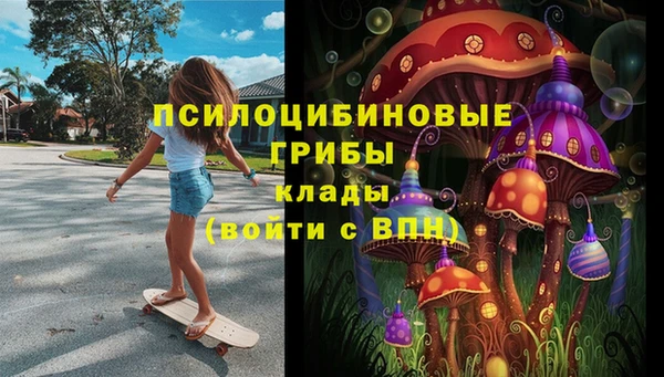 дживик Богданович