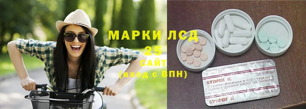 стаф Бородино