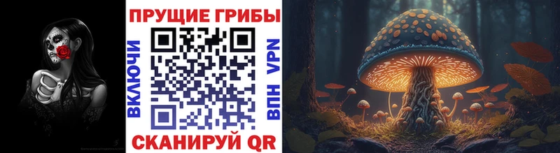 Галлюциногенные грибы Magic Shrooms  Ковылкино 